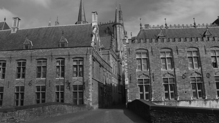 Adult companionship in Tongeren-Borgloon: hoe je een connectie opbouwt