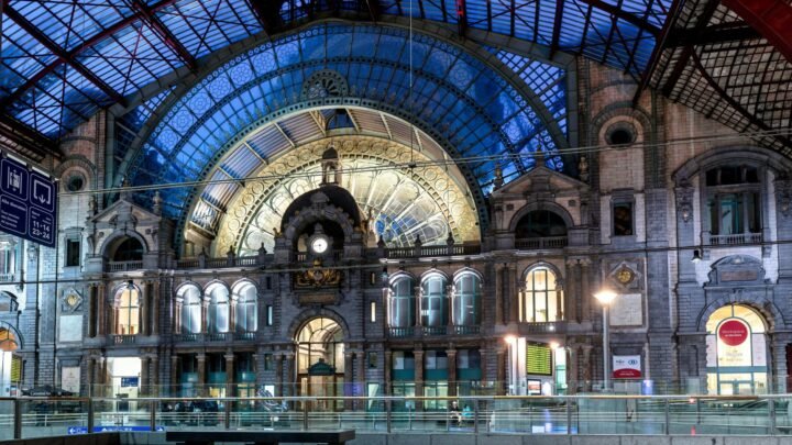 Boom escort gids voor bezoekers: praktisch plannen in Antwerpen