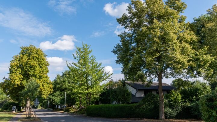 Escort zoeken in Woluwe-Saint-Pierre: een eerste keer, stap voor stap