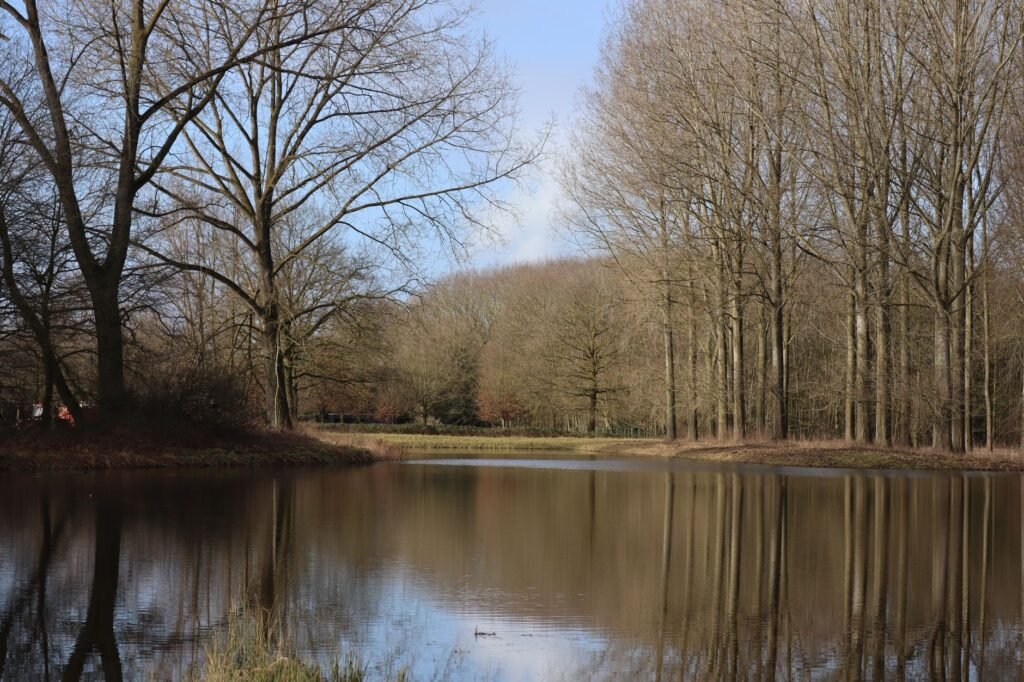 Abords du lac de Genval à Rixensart, Brabant wallon